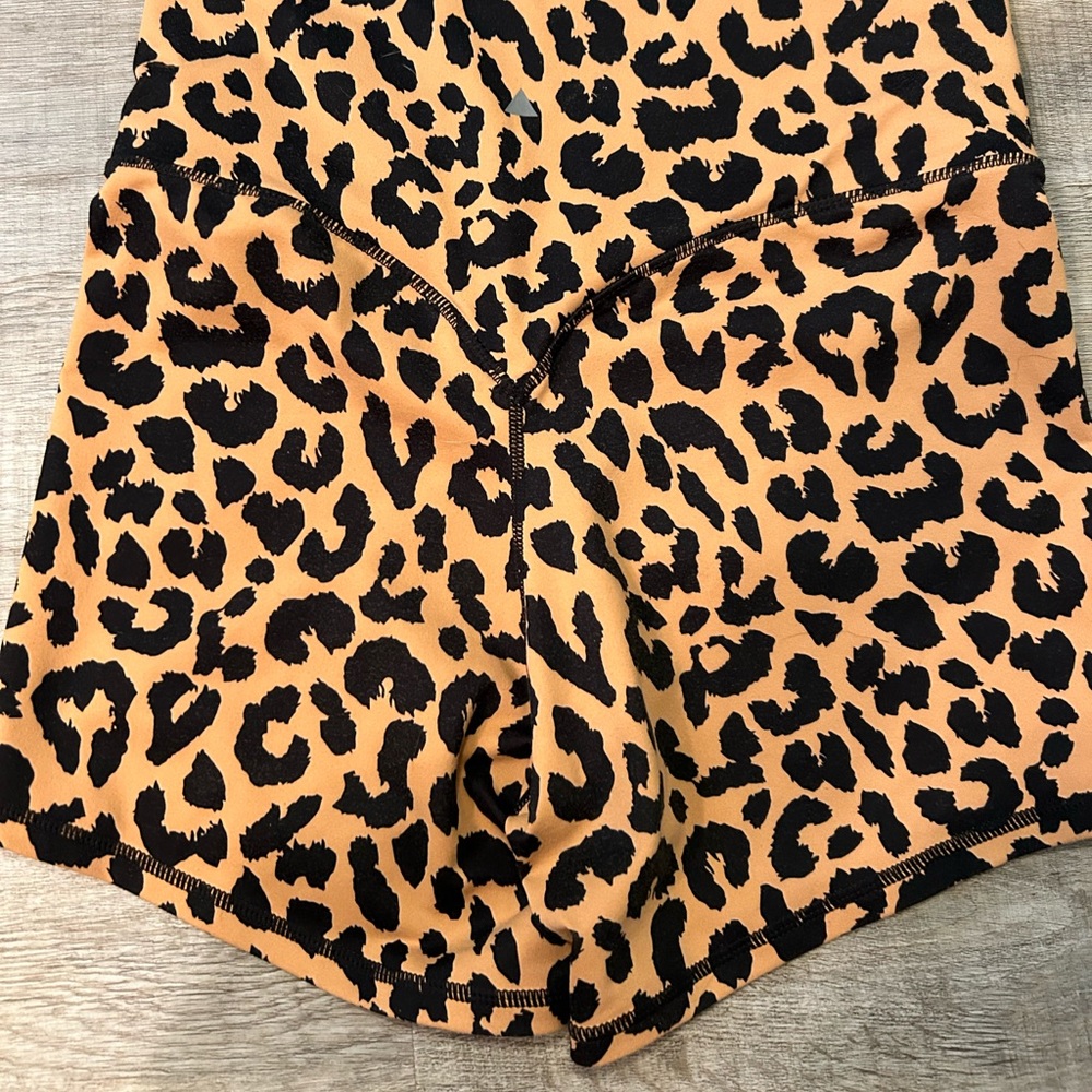 Vitality Volley Shorts